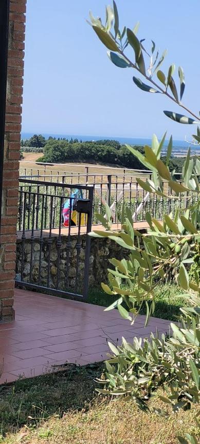 Agriturismo Il Poggio Казале-Мариттимо Экстерьер фото