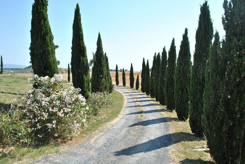 Agriturismo Il Poggio Казале-Мариттимо Экстерьер фото